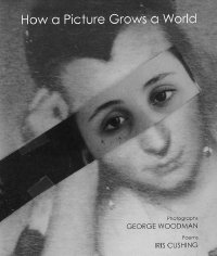 Immagine copertina libro How a picture grows a world
