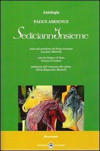 Immagine copertina libro SediciannInsieme