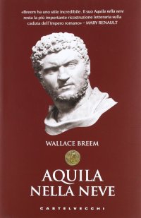 Immagine copertina libro Aquila nella neve