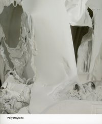 Immagine copertina libro Pawel Althamer. Polyethylene. Common task. Ediz. illustrata