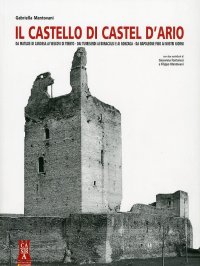 Immagine copertina libro Il castello di Castel d'Ario
