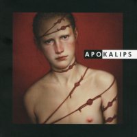 Immagine copertina libro Apokalips. Ediz. illustrata