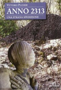 Immagine copertina libro Anno 2313. Una strana spedizione