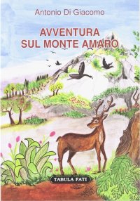Immagine copertina libro Avventura sul monte Amaro