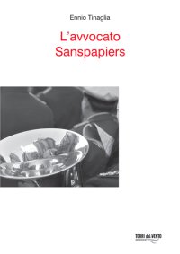 Immagine copertina libro L'avvocato Sanspapier