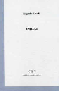 Immagine copertina libro Barlumi