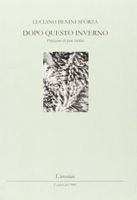 Immagine copertina libro Dopo queto inverno