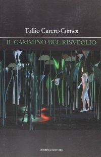 Immagine copertina libro Il cammino del risveglio