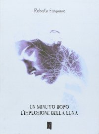 Immagine copertina libro Un minuto dopo l'esplosione della luna