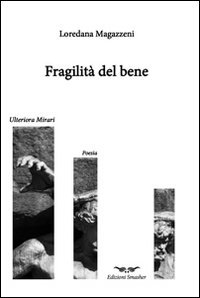 Immagine copertina libro Fragilità del bene