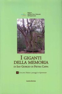 Immagine copertina libro I «giganti della memoria» di San Giorgio di Pietra Kappa
