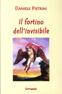 Immagine copertina libro Il fortino dell'invisibile