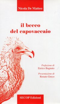 Immagine copertina libro Il becco del capovaccaio