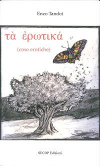 Immagine copertina libro Cose erotiche