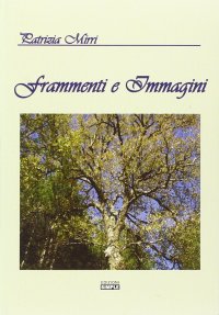 Immagine copertina libro Frammenti e immagini