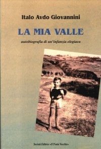 Immagine copertina libro La mia valle