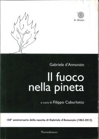 Immagine copertina libro Il fuoco nella pineta