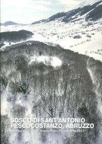 Immagine copertina libro Bosco di Sant'Antonio. Pescocostanzo, Abruzzo. The 23 international Carlo Scarpa prize for gardens. Ediz. multilingue