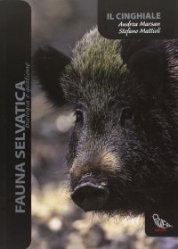 Immagine copertina libro Il cinghiale