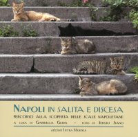 Immagine copertina libro Napoli in salita e discesa. Percorso alla scoperta delle scale napoletane