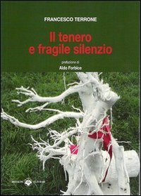 Immagine copertina libro Il tenero e fragile silenzio