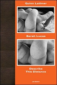 Immagine copertina libro Sarah Lucas. Describe this distance. Air Mexico. Ediz. illustrata