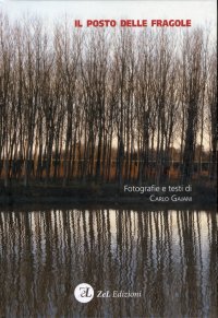 Immagine copertina libro Il posto delle fragole. Ediz. illustrata