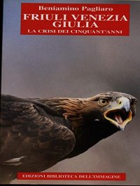 Immagine copertina libro Friuli Venezia Giulia. La crisi dei cinquant'anni