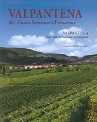 Immagine copertina libro Valpantena. Dal Vinum Raeticum all'Amarone. Venti secoli di stria della coltura della vigna e dell'arte di fare vino-Valpantena. From Vinum Raeticum to Amarone. Twenty Years of History of Viniculture and of Wine-Making Art