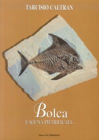 Immagine copertina libro Bolca. Laguna pietrificata