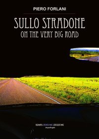 Immagine copertina libro Sullo stradone