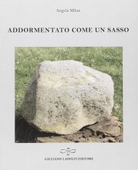 Immagine copertina libro Addormentato come un sasso
