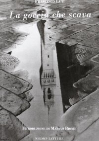 Immagine copertina libro La goccia che scava