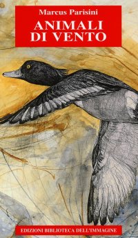 Immagine copertina libro Animali di vento. Ediz. illustrata