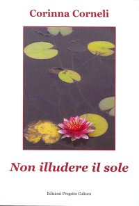 Immagine copertina libro Non illudere il sole