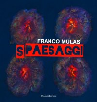 Immagine copertina libro Franco Mulas. Spaesaggi. Opere dal 1980 al 2013. Ediz. illustrata
