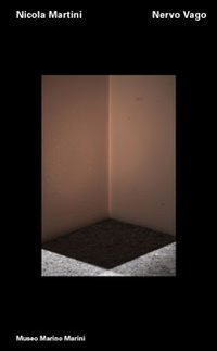 Immagine copertina libro Nicola Martini. Nervo vago. Ediz. italiana e inglese