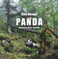 Immagine copertina libro Panda