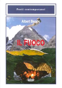Immagine copertina libro Il fuoco
