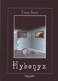 Immagine copertina libro Hybonyx