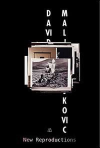 Immagine copertina libro David Maljkovic. New reproductions. Ediz. illustrata