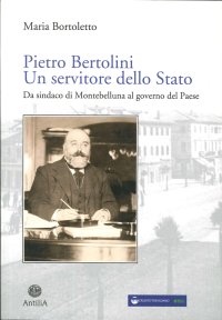 Immagine copertina libro Pietro Bertolini. Un servitore dello Stato. Da sindaco di Montebelluna al governo del paese