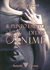 Immagine copertina libro Il punto esatto di due anime