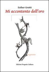 Immagine copertina libro Mi accontento dell'oro