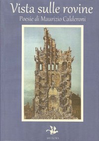 Immagine copertina libro Vista sulle rovine