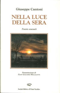 Immagine copertina libro Nella luce della sera