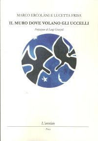 Immagine copertina libro Il muro dove volano gli uccelli