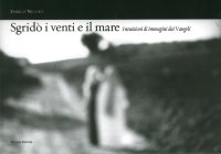 Immagine copertina libro Sgridò i venti e il mare. Intuizioni di immagini dai Vangeli. Ediz. illustrata