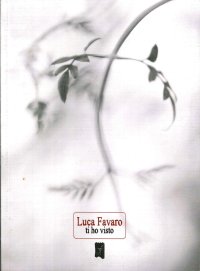 Immagine copertina libro Ti ho visto