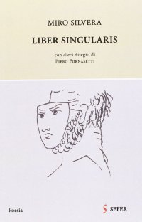 Immagine copertina libro Liber singularis